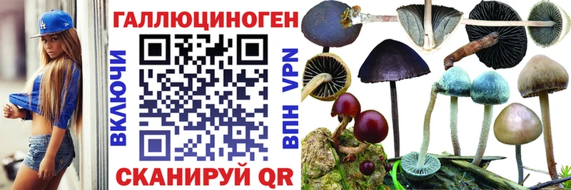 Псилоцибиновые грибы прущие грибы  Барыш 